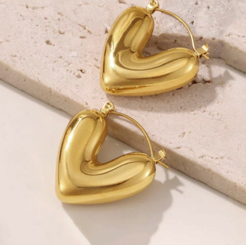 Anti Tarnish Heart Themed Earrings