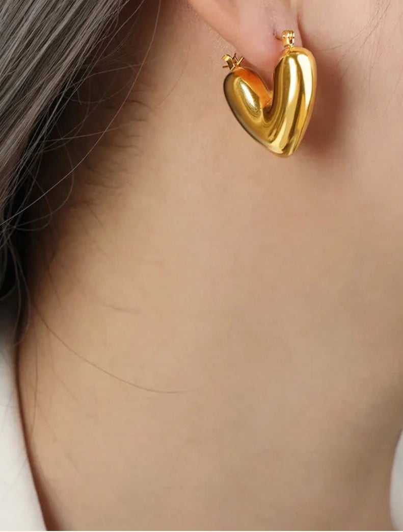 Anti Tarnish Heart Themed Earrings